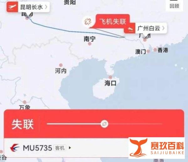 ?救援东航客机133人的广西村民：飞机解体找不到人，树上有布条