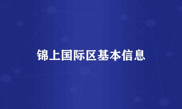 锦上国际区基本信息