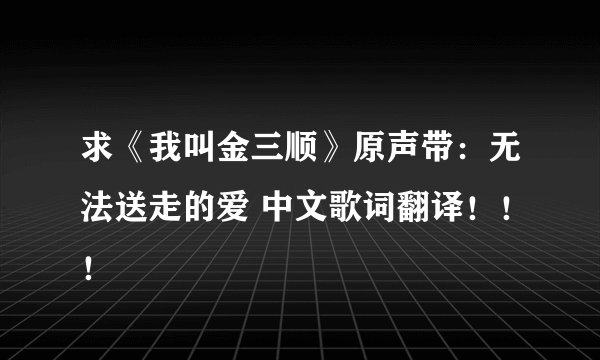 求《我叫金三顺》原声带：无法送走的爱 中文歌词翻译！！！