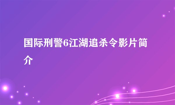 国际刑警6江湖追杀令影片简介