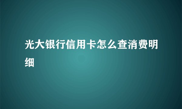 光大银行信用卡怎么查消费明细