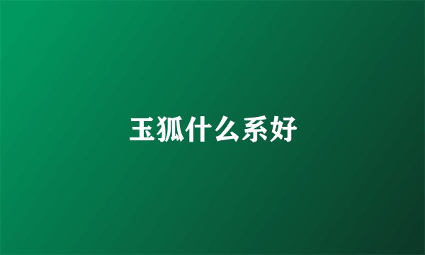 玉狐什么系好