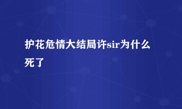 护花危情大结局许sir为什么死了