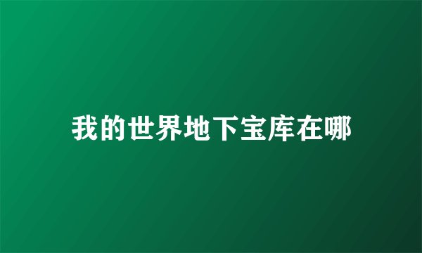 我的世界地下宝库在哪