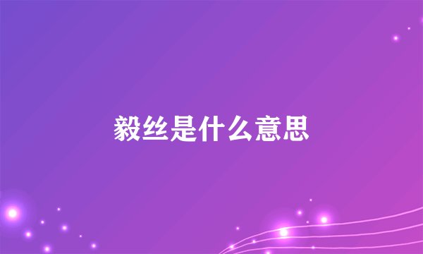 毅丝是什么意思