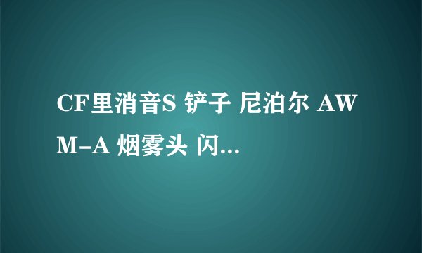 CF里消音S 铲子 尼泊尔 AWM-A 烟雾头 闪光镜 防弹头盔和防弹衣，都一个月多少钱