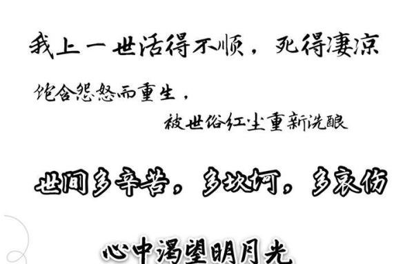 重生文:清冷睿智受和阳光忠犬攻的二世情缘