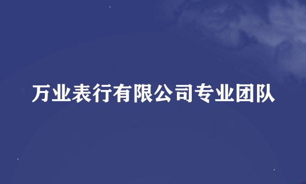 万业表行有限公司专业团队