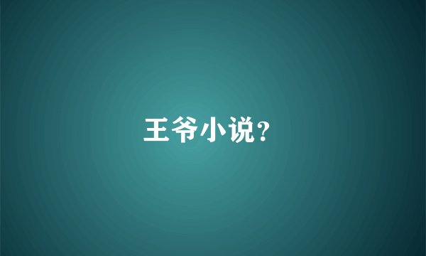 王爷小说？