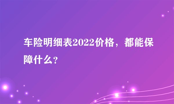 车险明细表2022价格，都能保障什么？