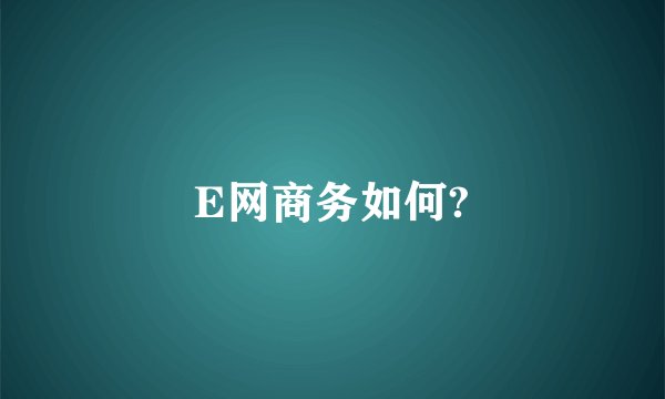 E网商务如何?