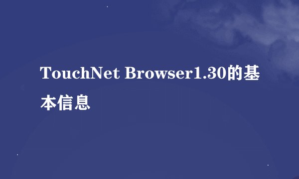 TouchNet Browser1.30的基本信息