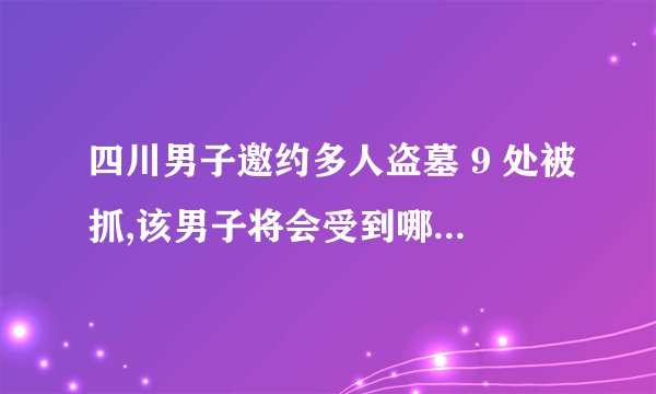 四川男子邀约多人盗墓 9 处被抓,该男子将会受到哪些处罚?