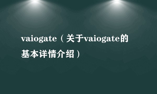 vaiogate（关于vaiogate的基本详情介绍）