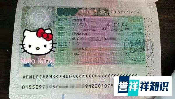 最适合厨师出国工作的几个国家
