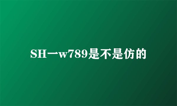 SH一w789是不是仿的