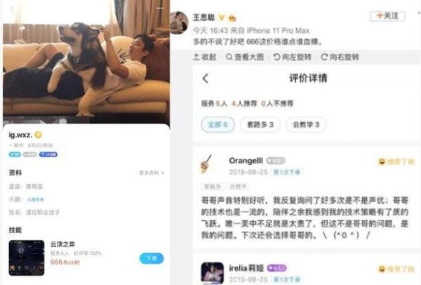 王思聪“陪玩App”被爆涉黄,一次388,加钱还能“包夜”?!