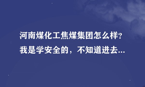 河南煤化工焦煤集团怎么样？我是学安全的，不知道进去前景如何？待遇怎么样？技术人员工资高么？