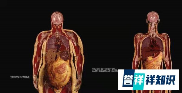 半年重80斤、胃穿孔、用命换流量:知名网红的猝死,绝非偶然!