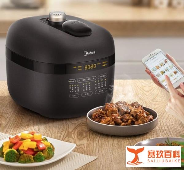 电压力锅哪个牌子好，什么牌子的电压力锅比较好
