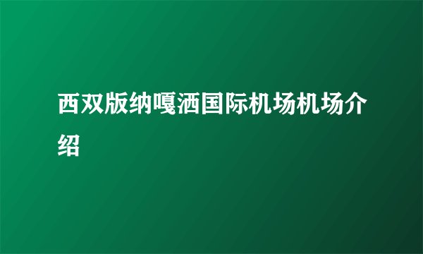 西双版纳嘎洒国际机场机场介绍