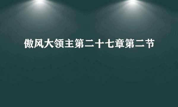 傲风大领主第二十七章第二节