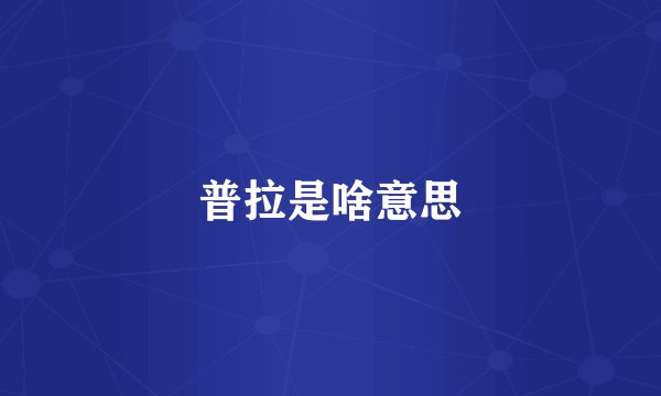 普拉是啥意思