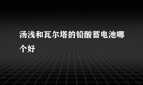 汤浅和瓦尔塔的铅酸蓄电池哪个好