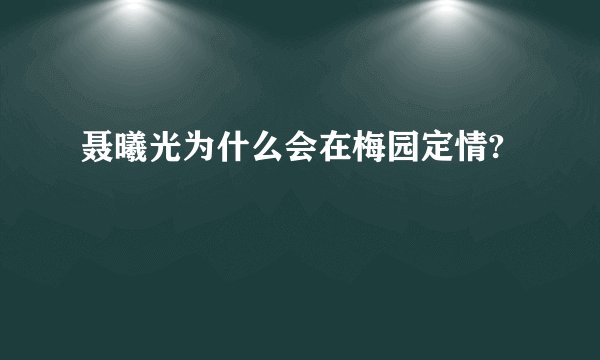 聂曦光为什么会在梅园定情?