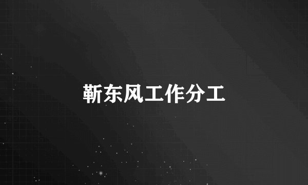 靳东风工作分工