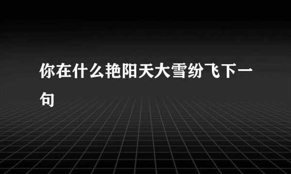 你在什么艳阳天大雪纷飞下一句