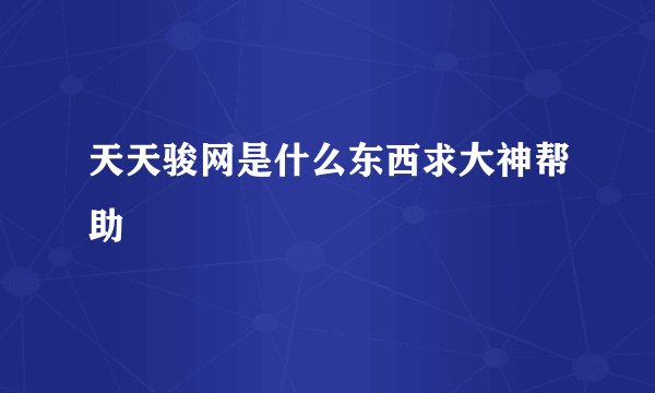 天天骏网是什么东西求大神帮助