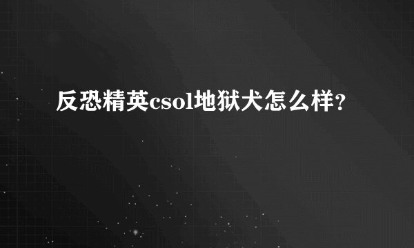 反恐精英csol地狱犬怎么样？
