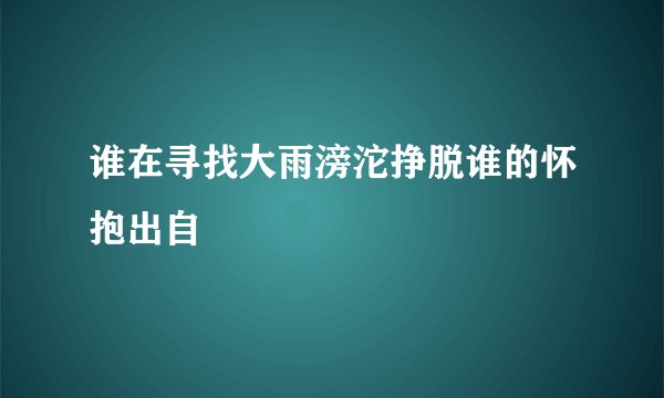 谁在寻找大雨滂沱挣脱谁的怀抱出自