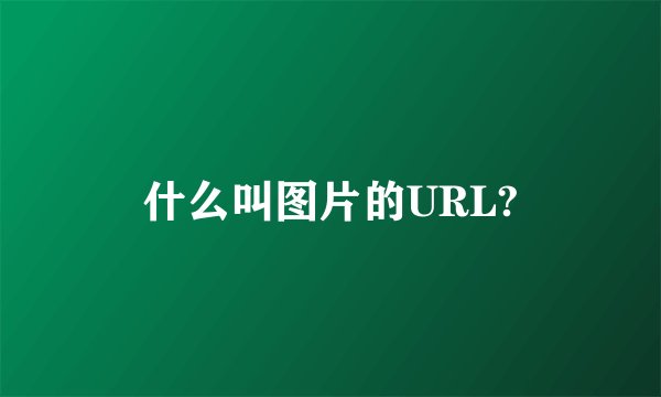 什么叫图片的URL?