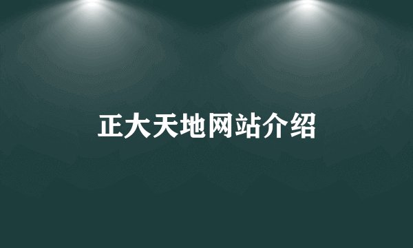 正大天地网站介绍