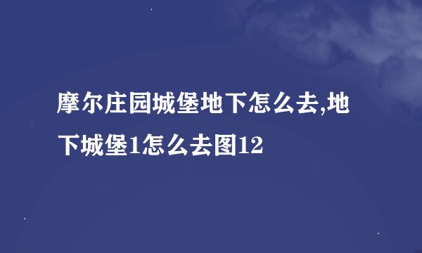 摩尔庄园城堡地下怎么去,地下城堡1怎么去图12
