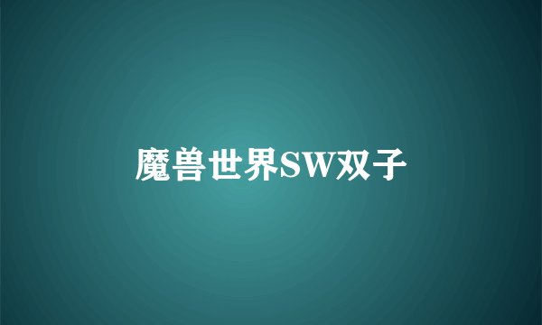 魔兽世界SW双子