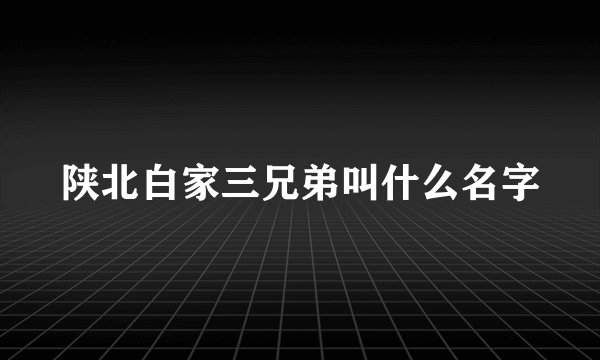 陕北白家三兄弟叫什么名字