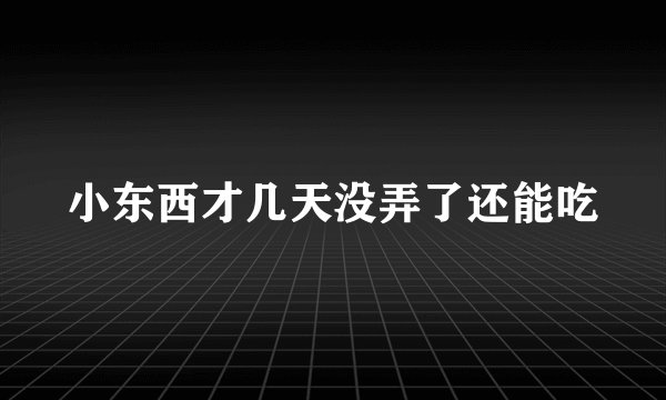 小东西才几天没弄了还能吃