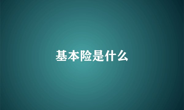 基本险是什么