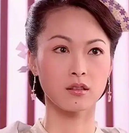 杨门女将柴郡主扮演者