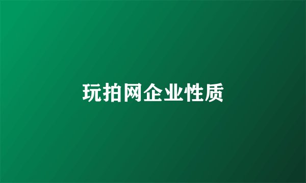 玩拍网企业性质
