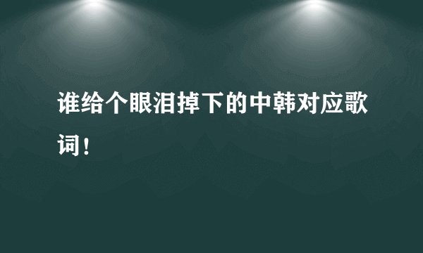 谁给个眼泪掉下的中韩对应歌词！