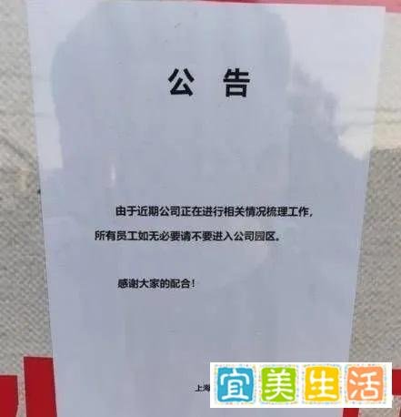 公司突然解散!老板烧光62亿跑路!