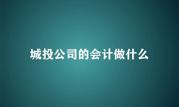 城投公司的会计做什么