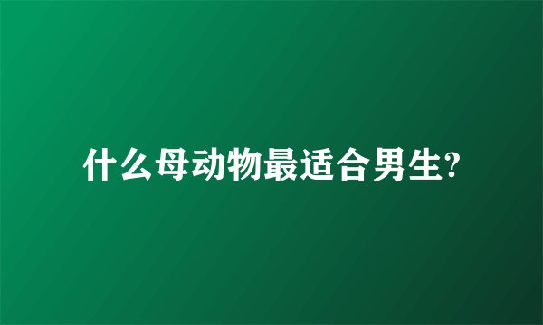 什么母动物最适合男生?