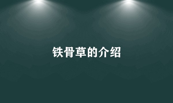 铁骨草的介绍