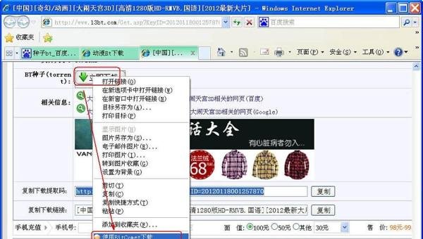 如何使用BT下载网络资源
