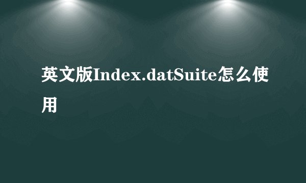英文版Index.datSuite怎么使用